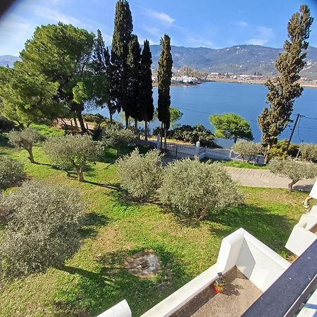 Skiathos Lagoterra Apartments المظهر الخارجي الصورة