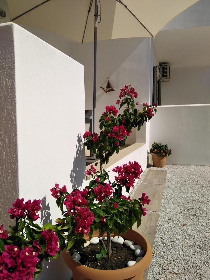 Skiathos Lagoterra Apartments المظهر الخارجي الصورة