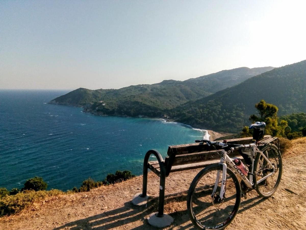 Skiathos Lagoterra Apartments المظهر الخارجي الصورة