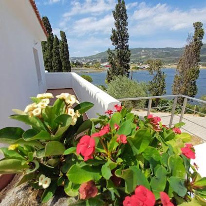 Skiathos Lagoterra Apartments المظهر الخارجي الصورة