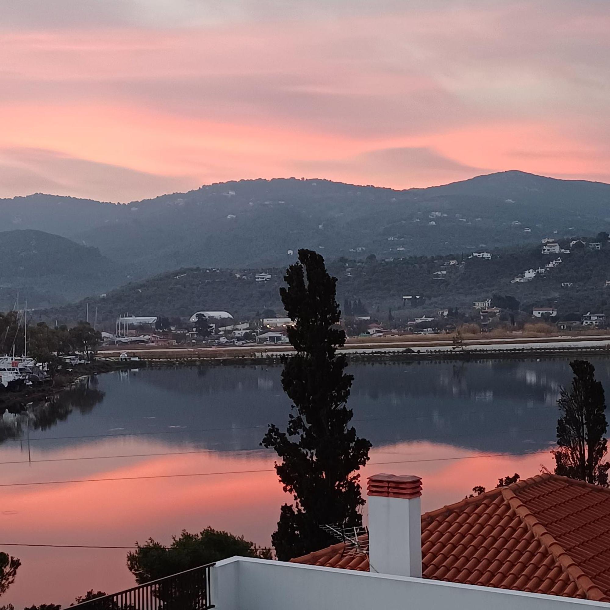 Skiathos Lagoterra Apartments المظهر الخارجي الصورة